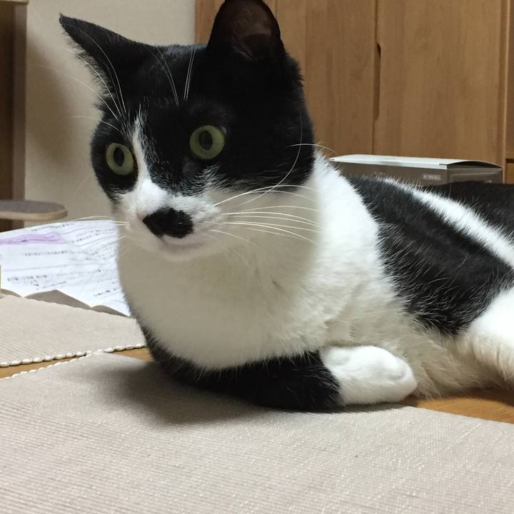 B99cfcf4 e929 4b26 8089 0c62884dd810