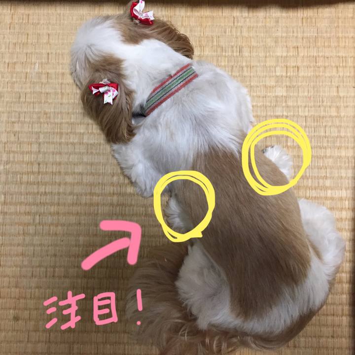 B99d853b 5c8b 4427 80de 42d46cd54ce2