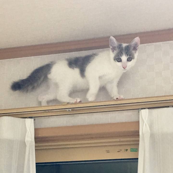 B99d856f 695b 44a2 8cf2 f072aca42744