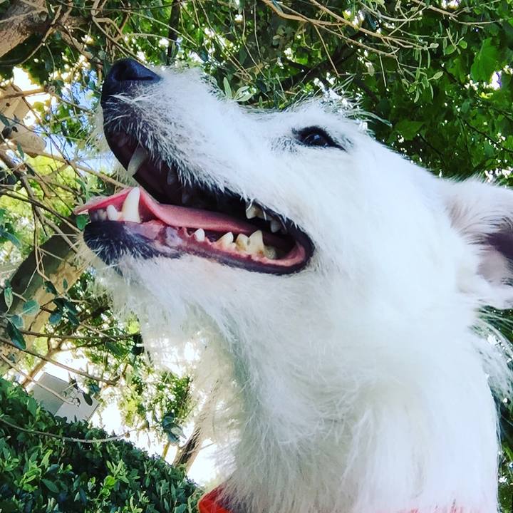 B99dfdc4 66c4 433e 9ff2 1e18152e27c4