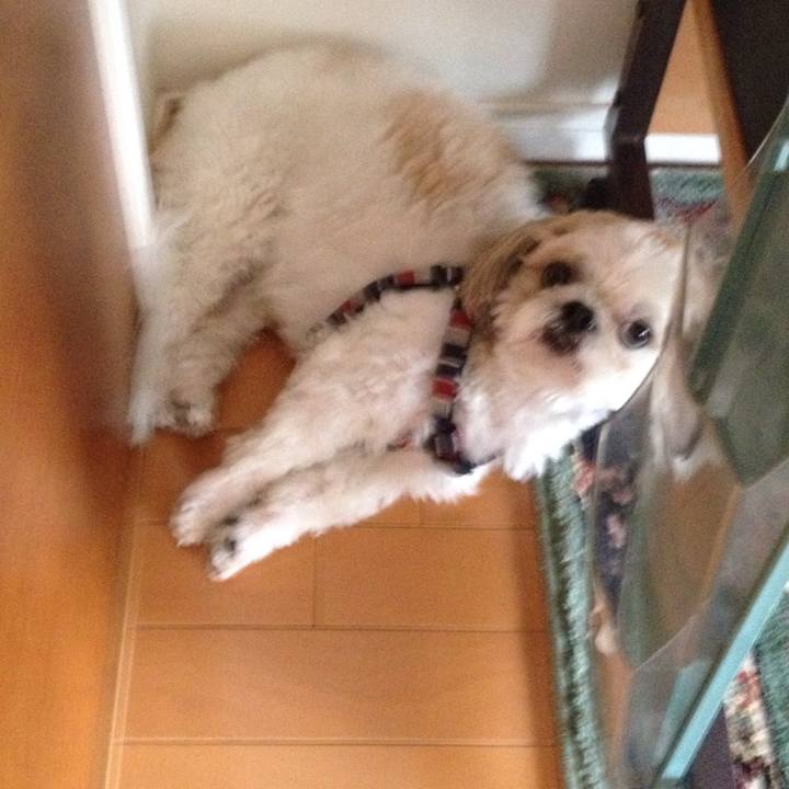 B99e38af 40bb 4696 8744 02d45a7f143f