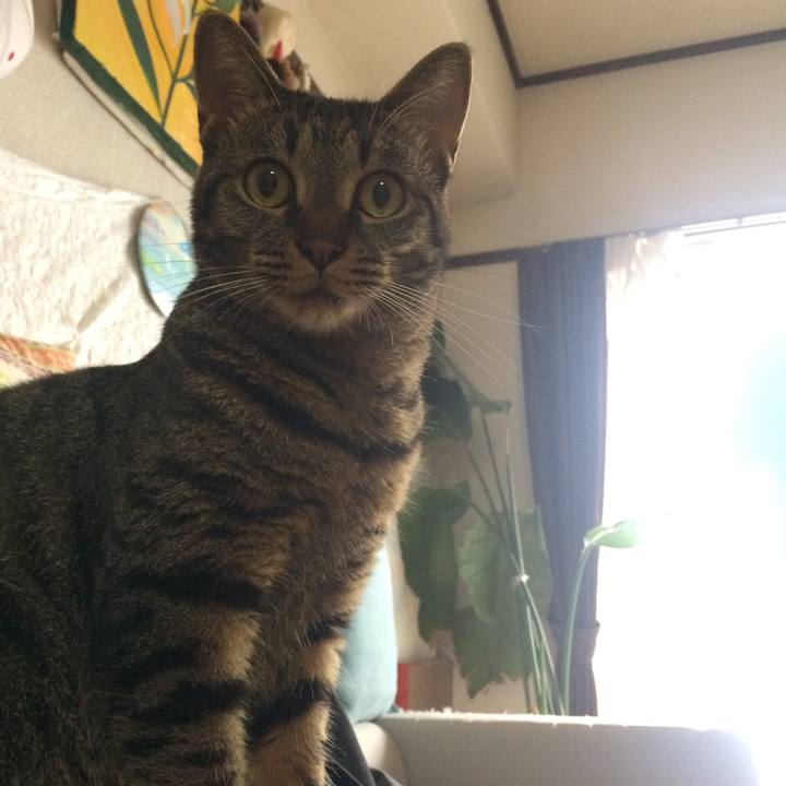 B99e4517 f623 431c a53c ab638f24b369