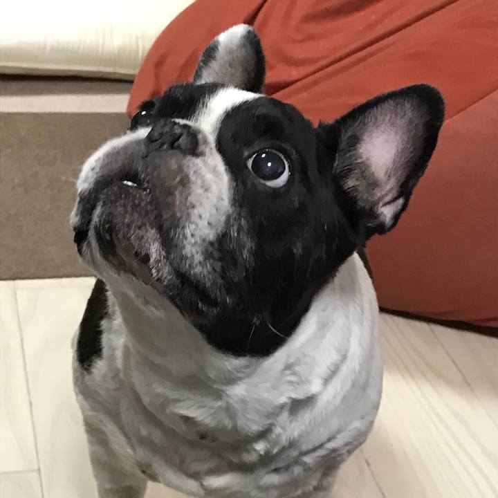 B99e6503 75c8 423a b78a c982f562c086