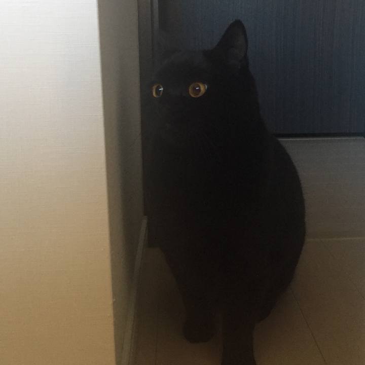 B99eb00a 5352 4c3f ae71 2cb29ae29bf3