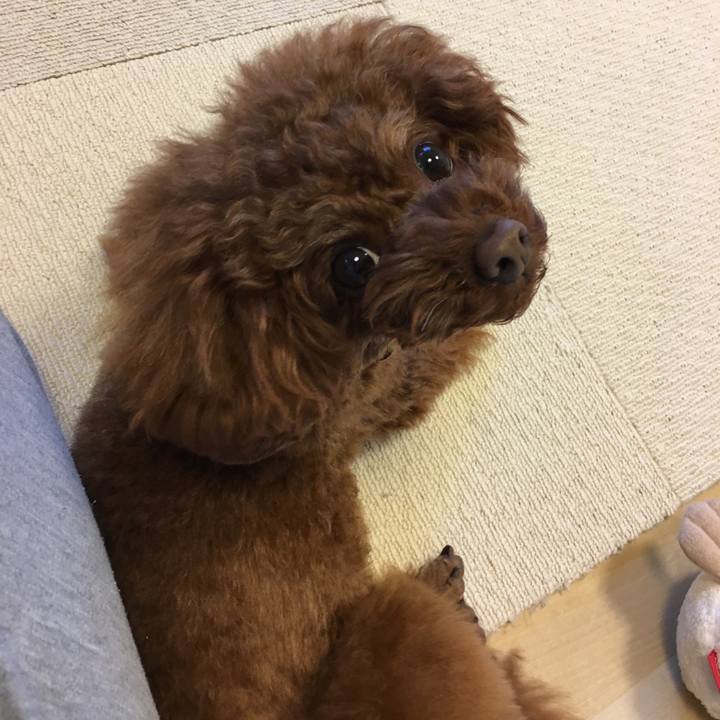 B99f005c 10b2 417e 9635 e7aed559aa53