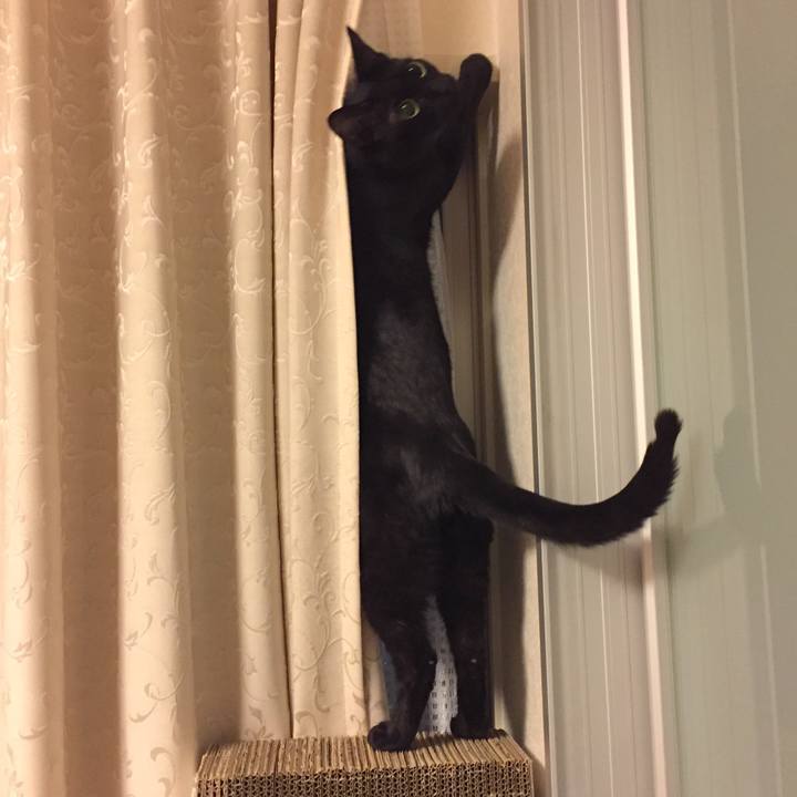 B99f095e d1a1 4547 abe9 8027a1fbb9b9