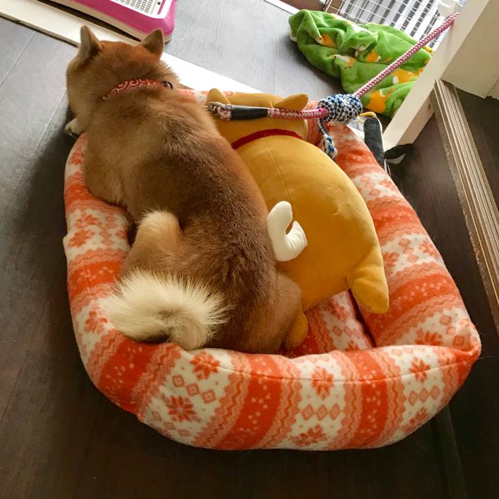 B99f5aa7 fc55 45e9 88b5 66b2b4d2c177