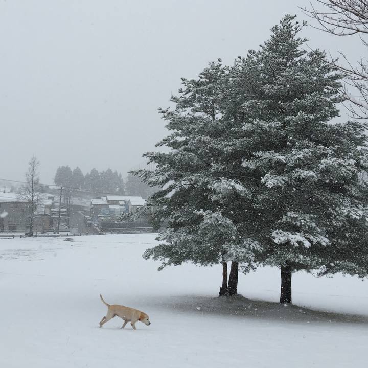 B99ff162 51af 4dc7 a8d5 4992c5b2dd86