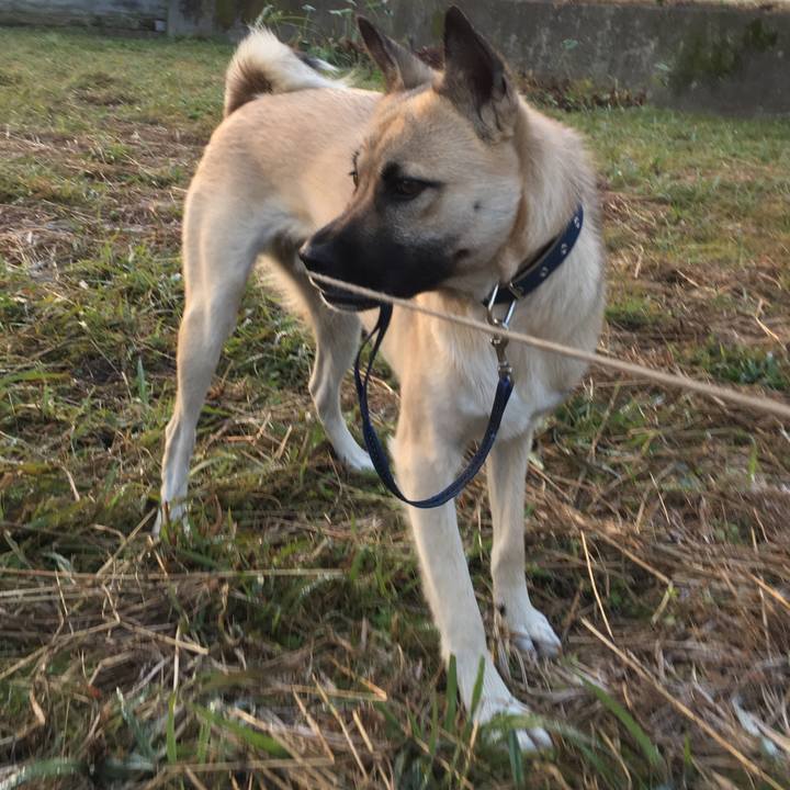 B9a0c41f f89b 46bc 8534 9171dcfa6221