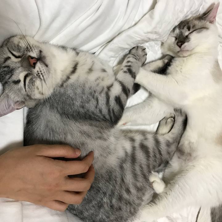 B9a1dd9f e4a0 4dce 9bf7 3fa740a59dce