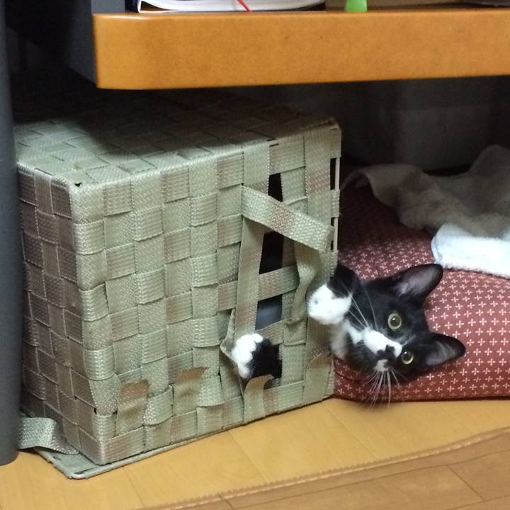 B9a21592 4137 48a3 9587 e56ba032e900