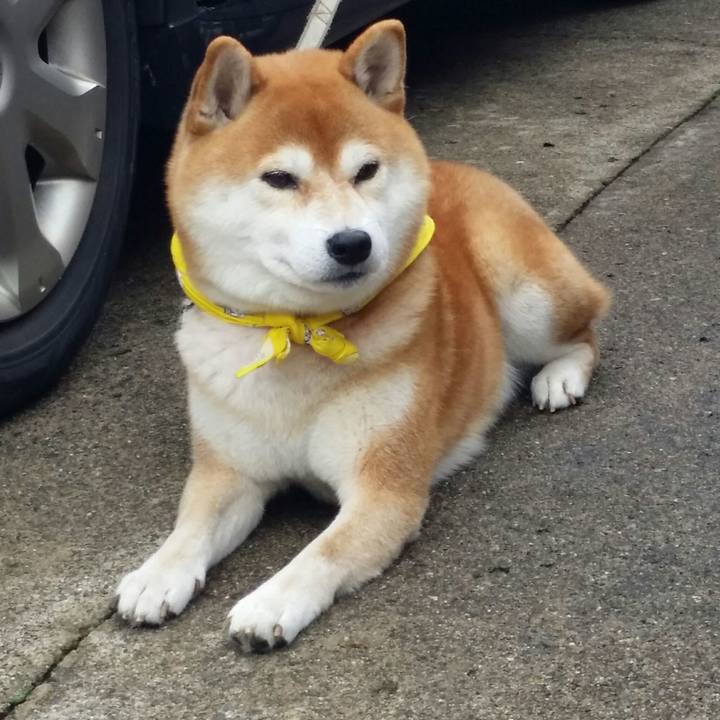 B9a2f6bd 4c6b 4610 b16d 961ea793d3dc