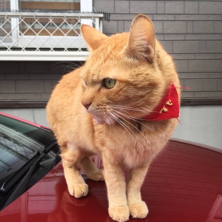 B9a2f955 d9e7 4b3e a1ec 9cd2c3dacccc