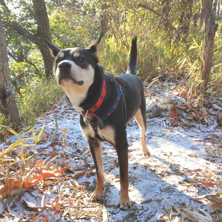 B9a34f57 bfa1 49cf afc8 bb8fd830be44