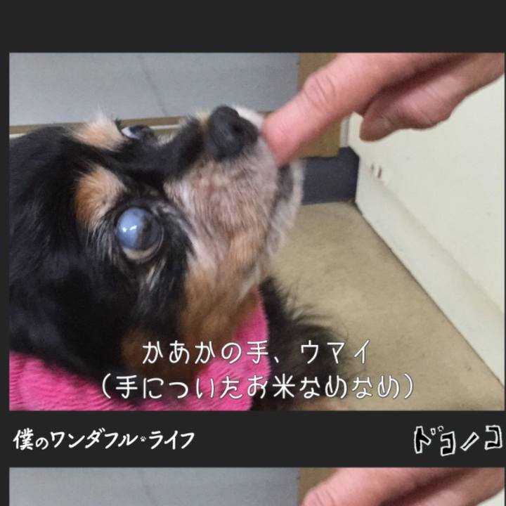 B9a3c7ae 5718 43e0 847e a9aeb0efaec0