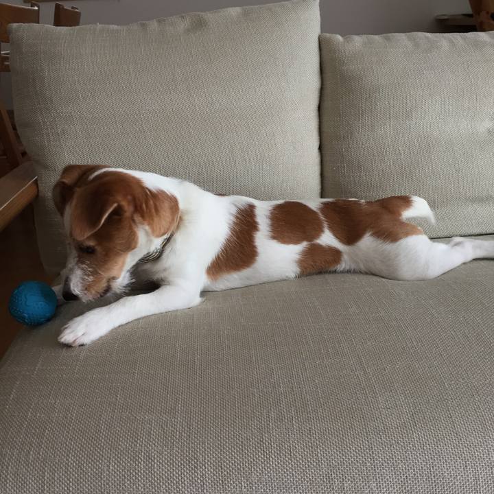 B9a41435 1045 41ef 93f1 59b158da6a9d