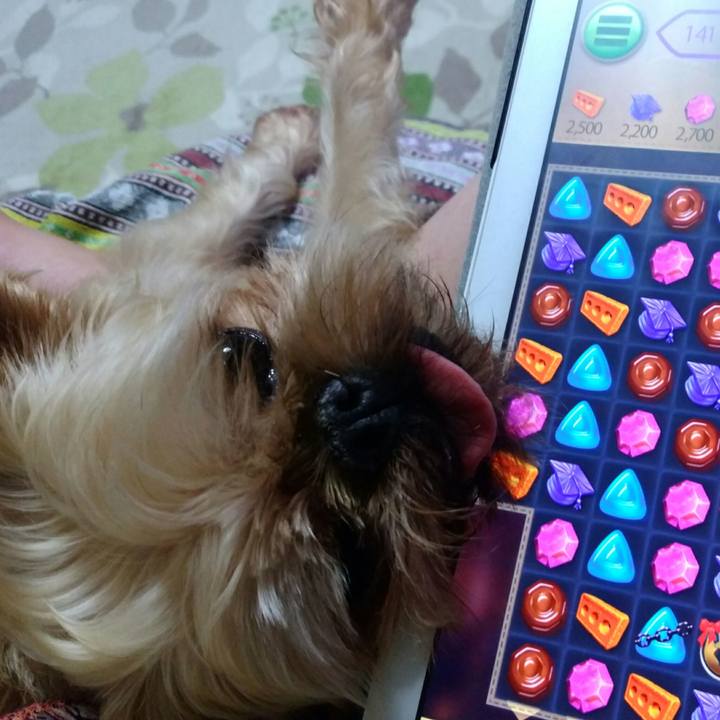 B9a41a8f e004 4d1b a7b5 67d0a457b54c