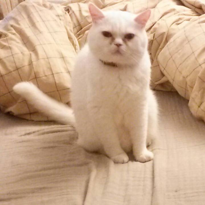 B9a449dc 52d2 49d1 866f ff799dfce878