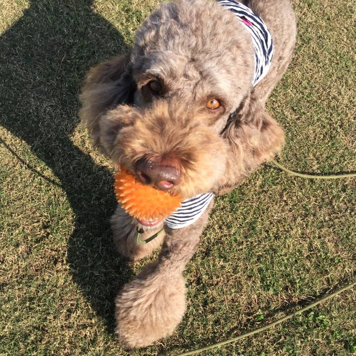 B9a4c87f 9831 4b54 be51 aad3e90b8e30