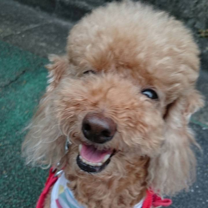 B9a4e2b7 9c31 4c28 badf 9a2137b49ca8