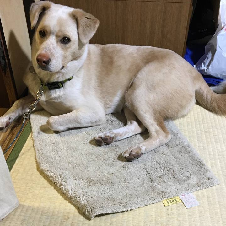 B9a50729 ed3f 4c53 a53e ae5ac52512de