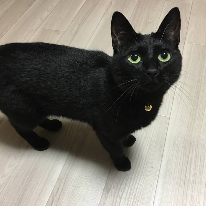 B9a52113 1305 415e a512 c30b3dc234cf