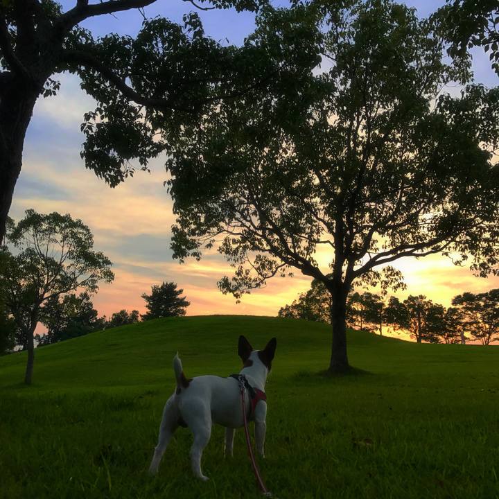 B9a5a8cf 9139 467e 97d4 16a44839643f