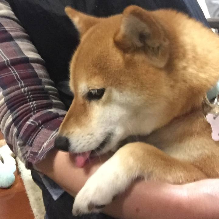 B9a5b4c1 318d 460c 8496 0e4259d77688