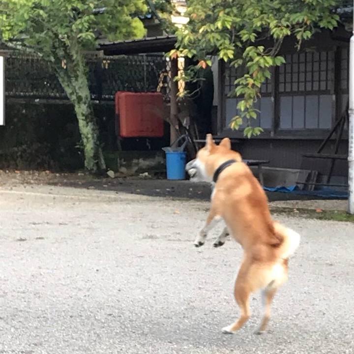 B9a5c729 0737 42dd 8e67 73044e7b7984