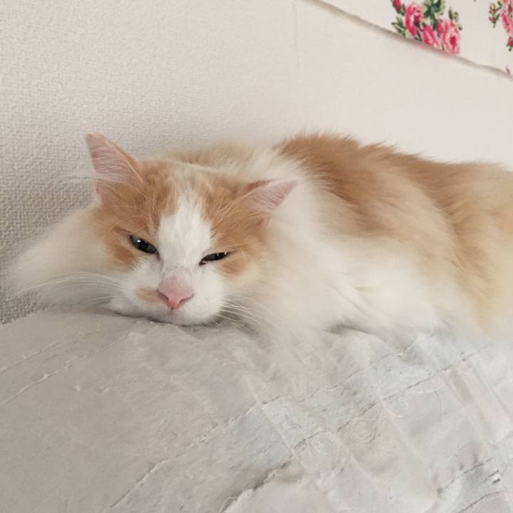 B9a5c8dd ac3d 420f 968d 6ebeaef00d86