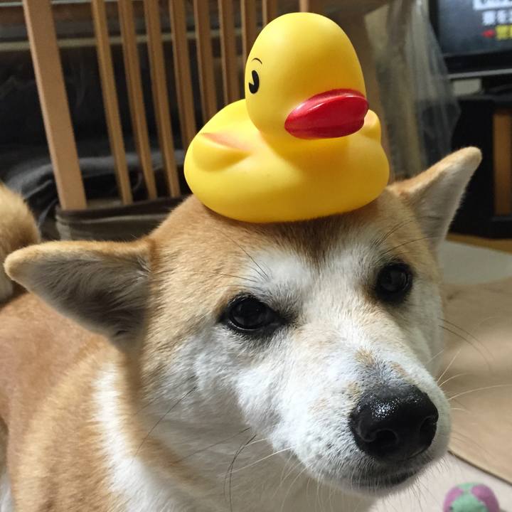 B9a5e23f 6b0e 4481 9eb9 952c06f85c4e