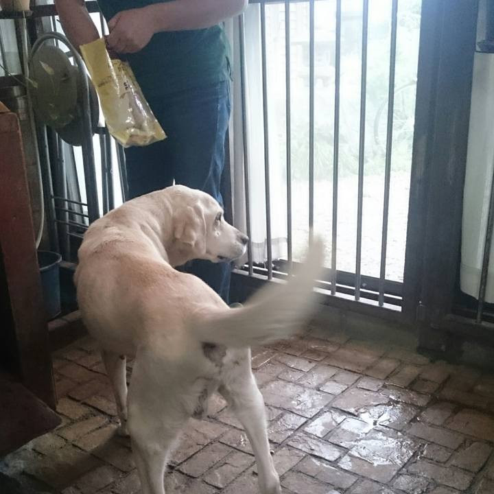 B9a64178 467e 4b52 bfa8 45ed80fdf5f5