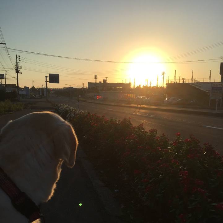 B9a77dd5 85e9 4f30 a86d 33ea4a712174