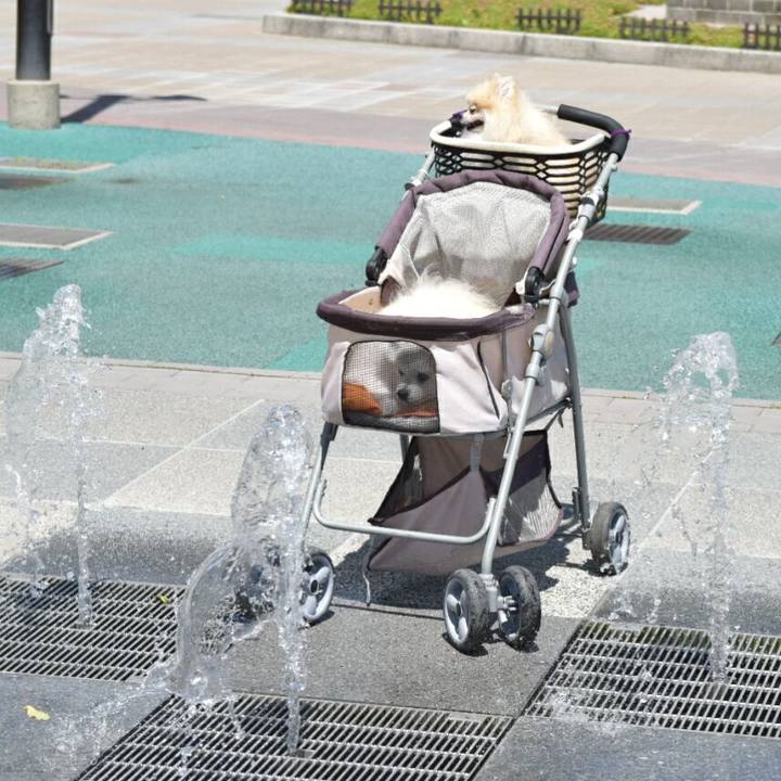 B9a7a2b8 8348 4a4a b056 348c47314062