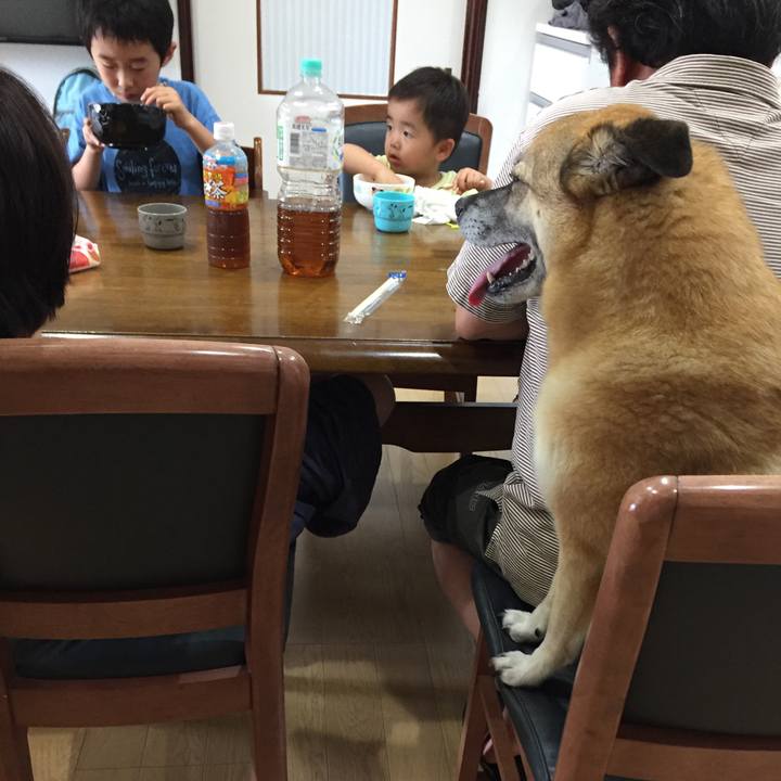 B9a868fd 2328 4dce 9728 4517f504120e