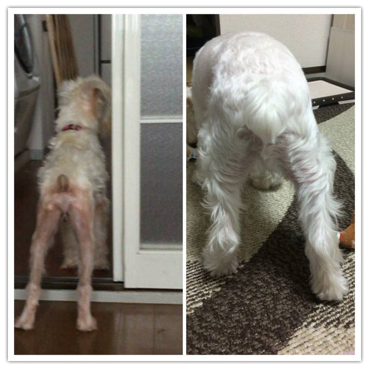 B9a90457 8b24 4d81 8e61 ab8b43d47923