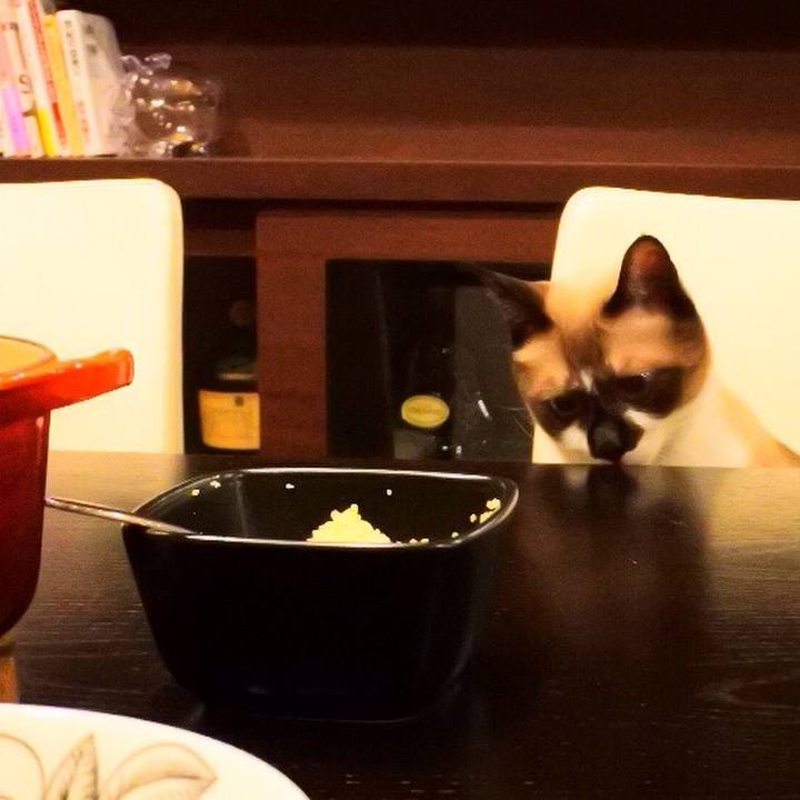 B9a90659 2087 47e6 9377 cc1e0815b037