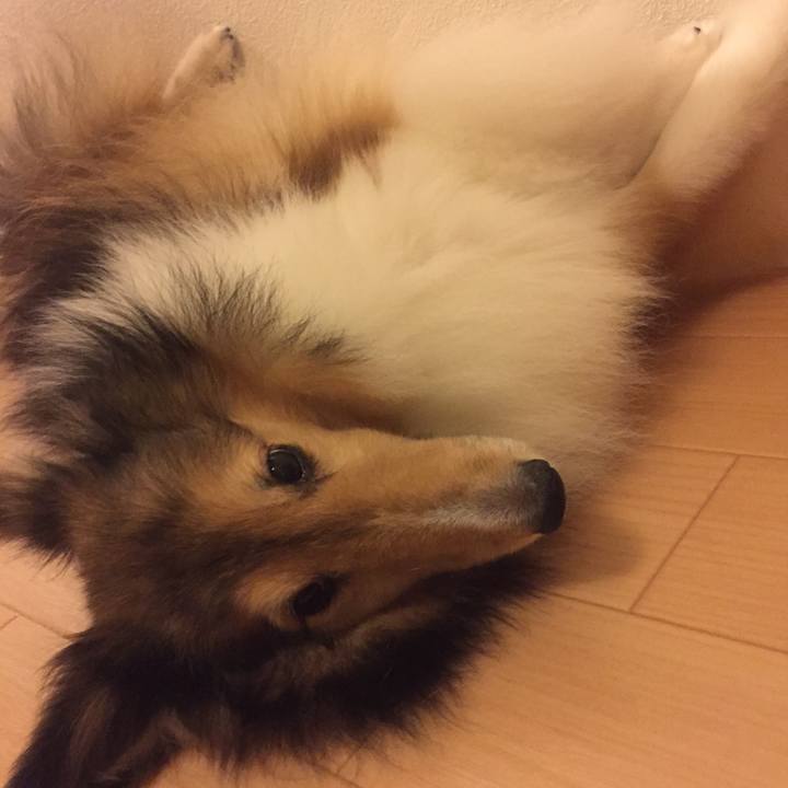 B9a914a1 d8a6 4649 8113 226953d777b5