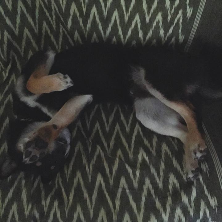 B9a96e9c 3e1c 4f06 8be0 548f73f436f9