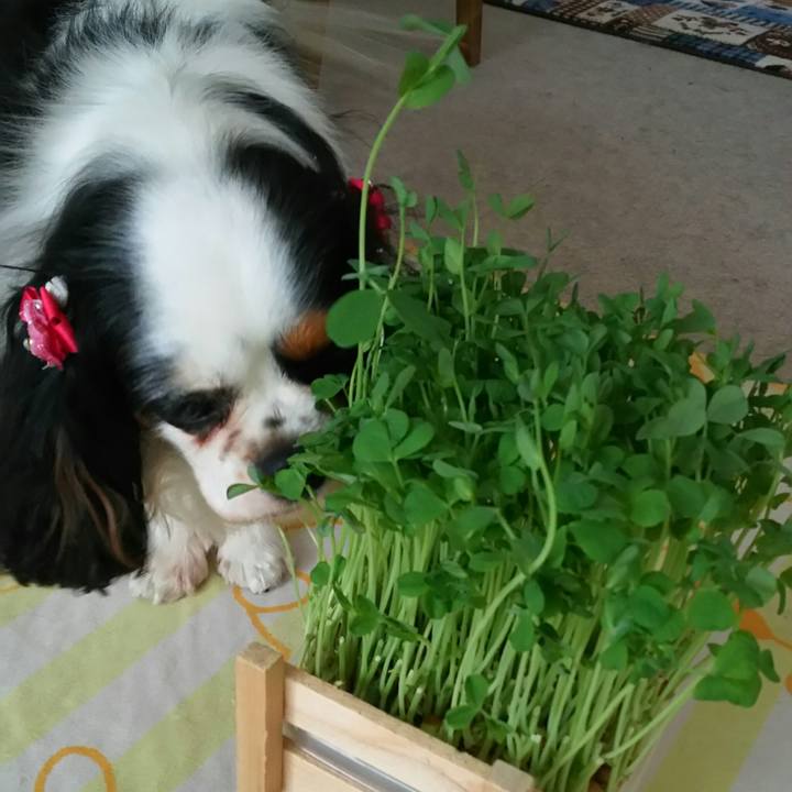 B9a9db63 e5f8 4c14 8b9b e4ed0a8a6823