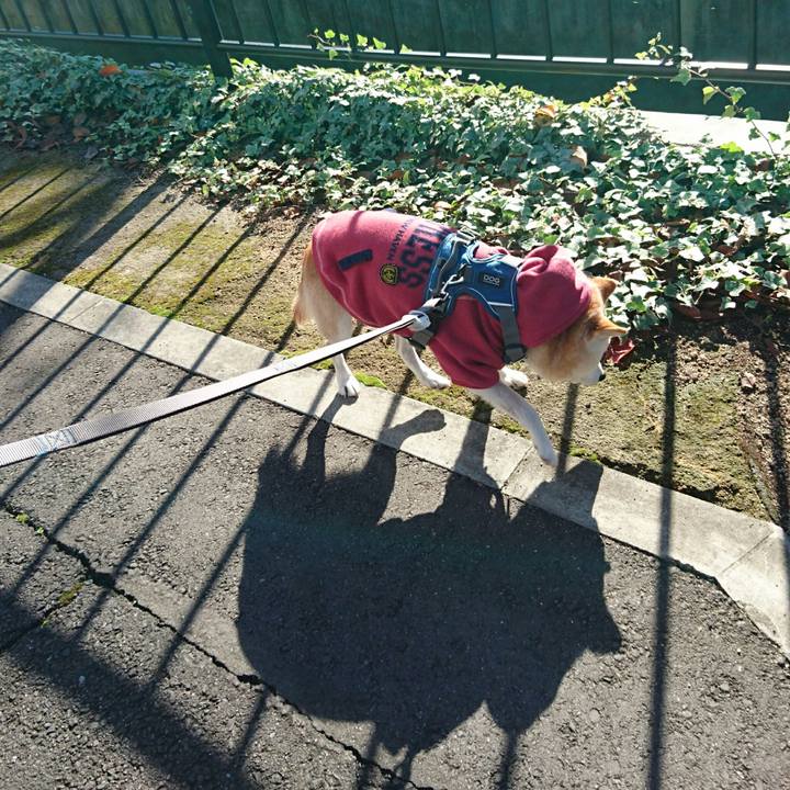 B9a9dbc6 8017 4f01 bc00 e691b94735f9