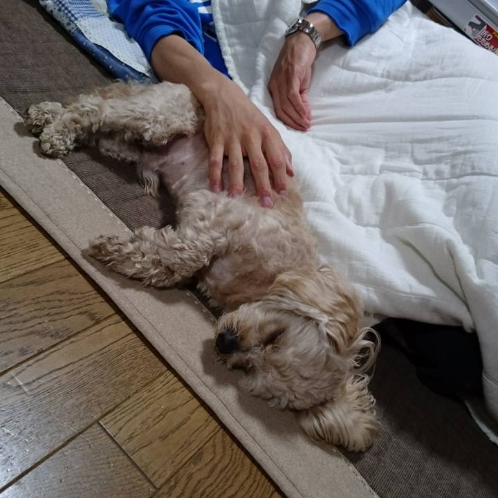 B9aa21ee ef88 480f 9e22 fd2b37686848