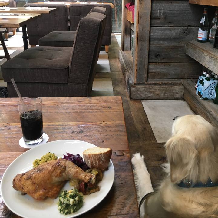 B9ab22df 53be 4744 b612 bf417f2de263