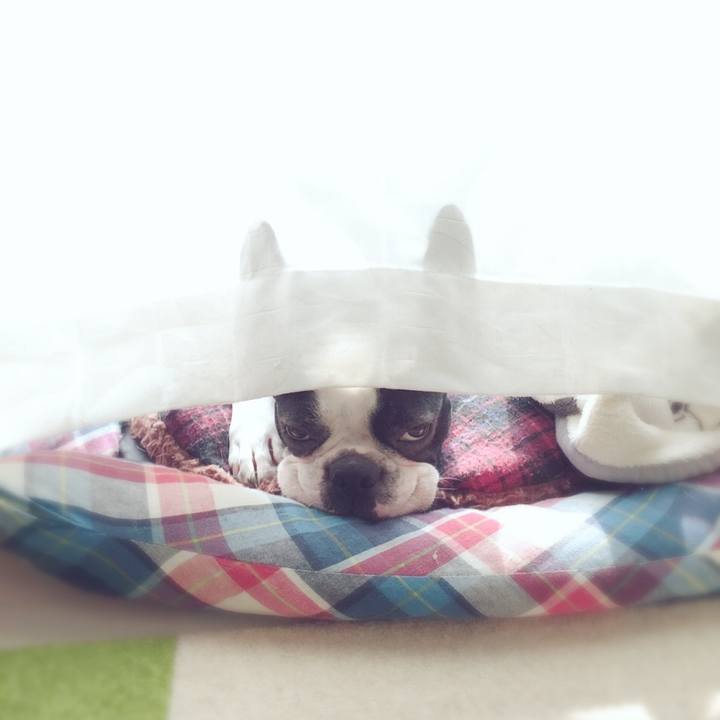 B9ab41dd bcda 4bbb ad15 e42f24df1f9e