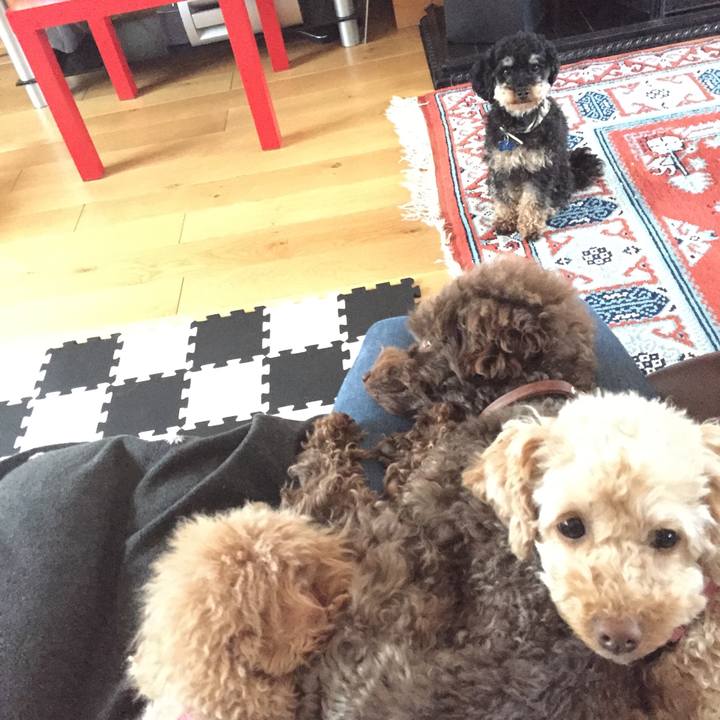 B9ab4302 c5dd 49a4 9799 041d08c7b571