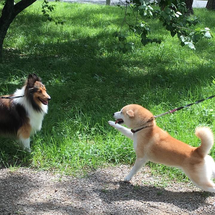 B9ab53e3 0c1e 4a43 aedd c02e1e41619c