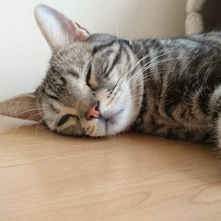 B9ab62fc 5749 431f a31f 8ce68df86bf6