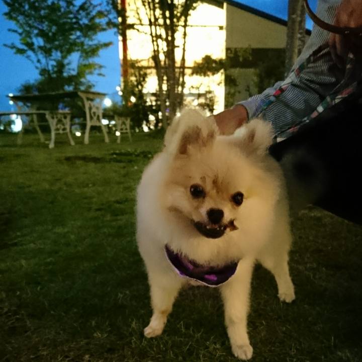 B9ac1dab 2b59 4b20 be6b b4970fc7d867