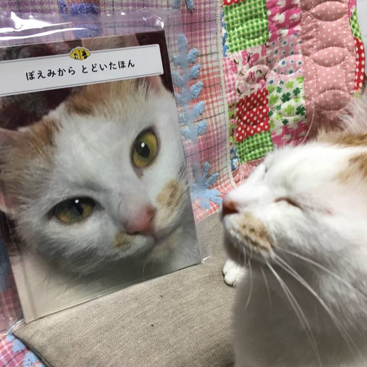 B9ac3a67 e747 479f acad b236a72bfa4f