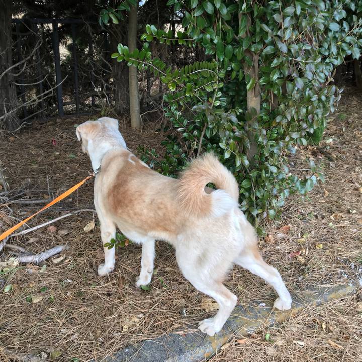 B9ac5907 50a6 4914 8414 fa76be754dcf